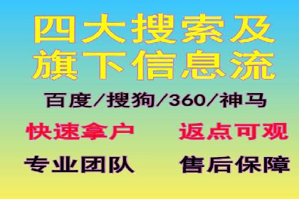 某电商平台的SEM策略与效果展示